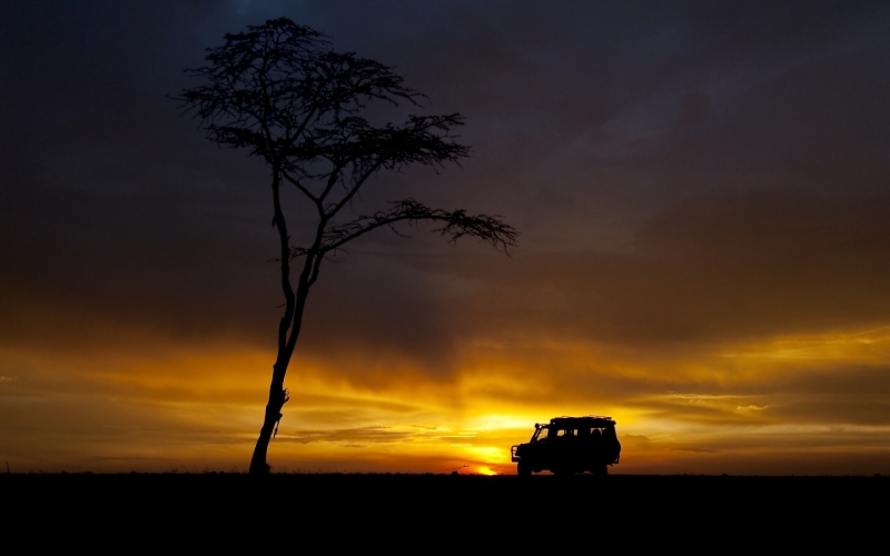For an African Adventure in style, Offbeat Safaris is your go-to company in Kenya.