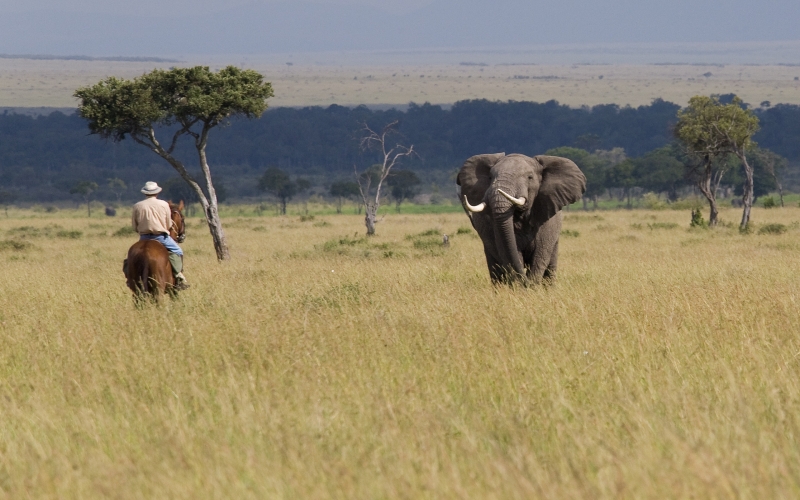 Offbeat Safaris was Founded in 1990 by Adventurer Tristan Voorspuy