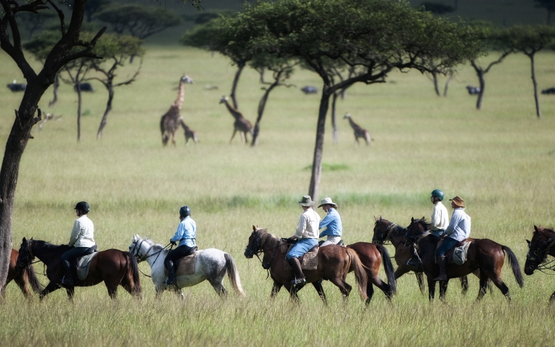 For pure exhilaration look no further than the Offbeat Riding Safari