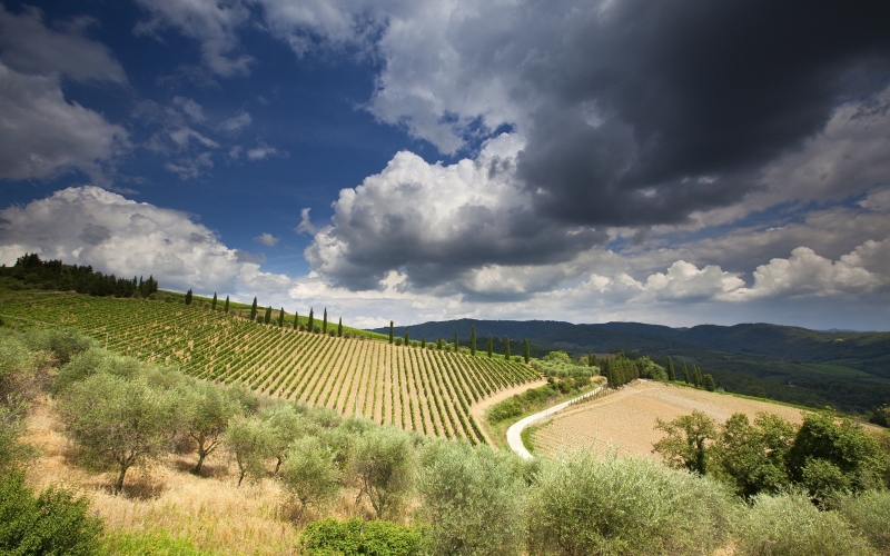 Tuscany is a Land of Hill Towns and Magical Villas, Castello di Casole
