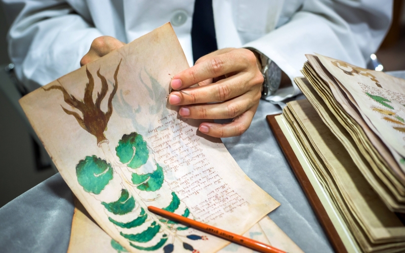 The Voynich Manuscript ... Fraught with Mystery and Ancient Lore