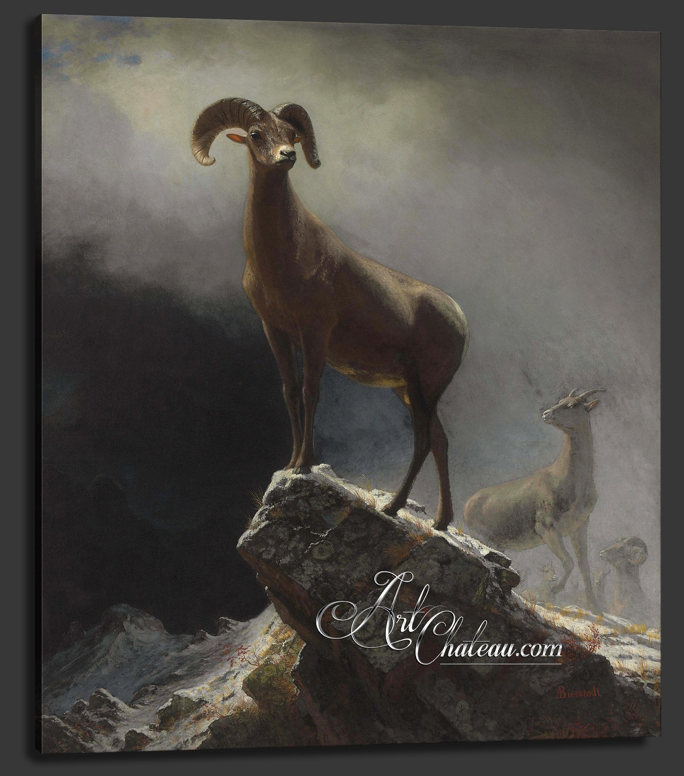 Big Horn Sheep, after Albert Bierstadt